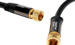 Etiam commodo convallis